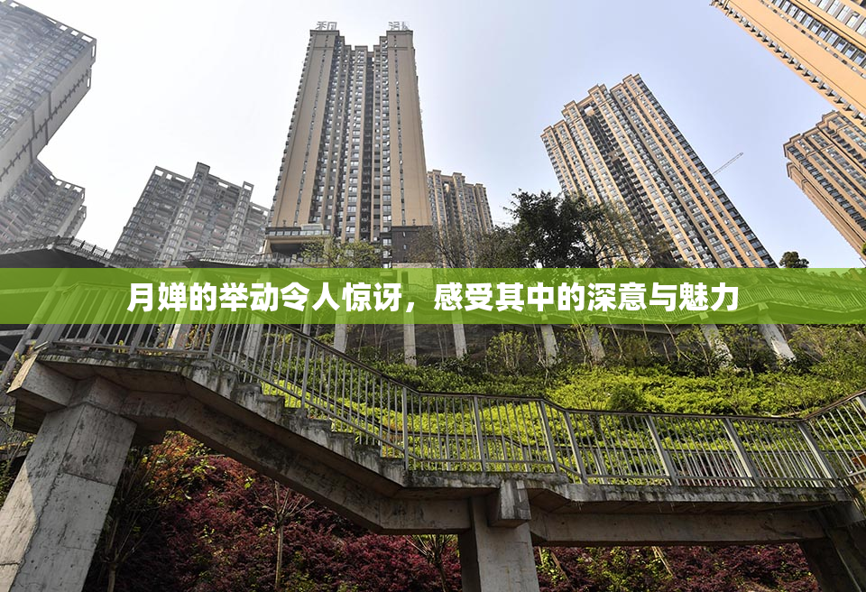 月婵的举动令人惊讶，感受其中的深意与魅力