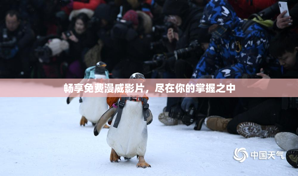 畅享免费漫威影片，尽在你的掌握之中