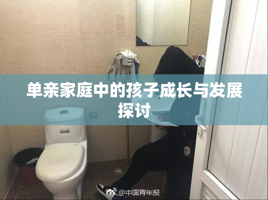 单亲家庭中的孩子成长与发展探讨