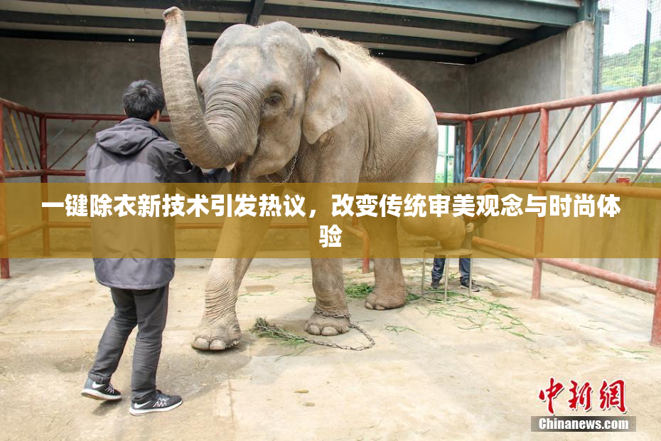 一键除衣新技术引发热议，改变传统审美观念与时尚体验