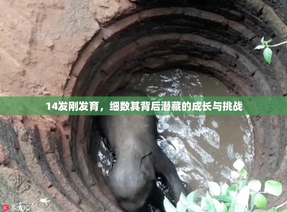 14发刚发育，细数其背后潜藏的成长与挑战