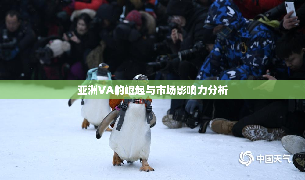 亚洲VA的崛起与市场影响力分析