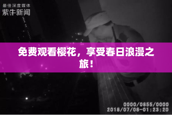 免费观看樱花，享受春日浪漫之旅！