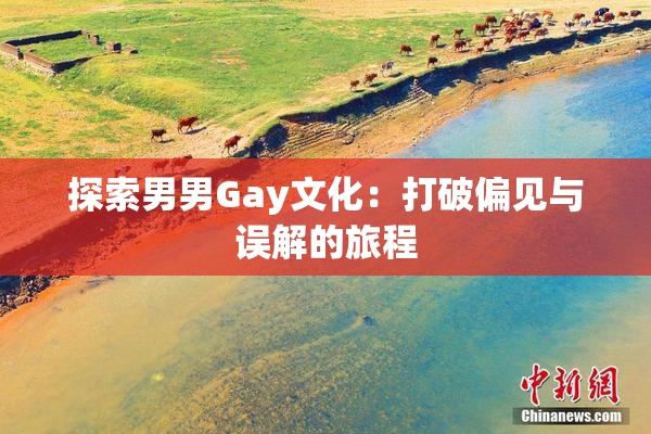 探索男男Gay文化：打破偏见与误解的旅程