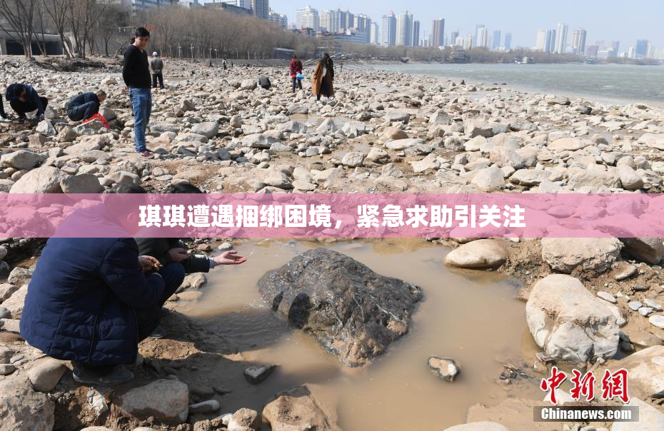 琪琪遭遇捆绑困境，紧急求助引关注