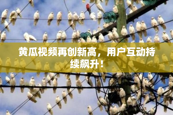 黄瓜视频再创新高，用户互动持续飙升！