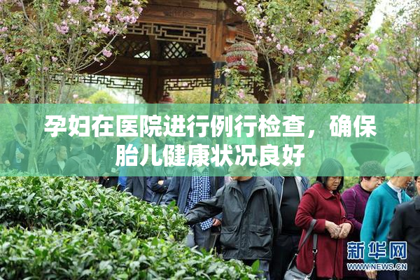 孕妇在医院进行例行检查，确保胎儿健康状况良好