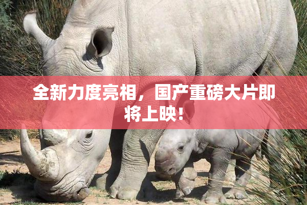 全新力度亮相，国产重磅大片即将上映！