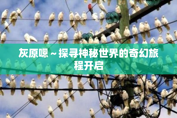 灰原嗯～探寻神秘世界的奇幻旅程开启