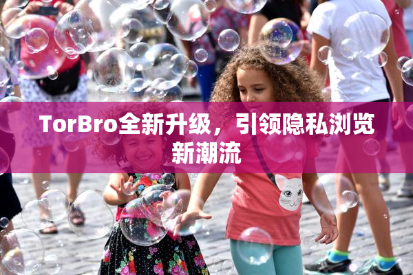 TorBro全新升级，引领隐私浏览新潮流