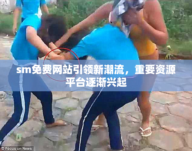 sm免费网站引领新潮流，重要资源平台逐渐兴起