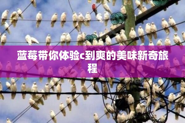 蓝莓带你体验c到爽的美味新奇旅程