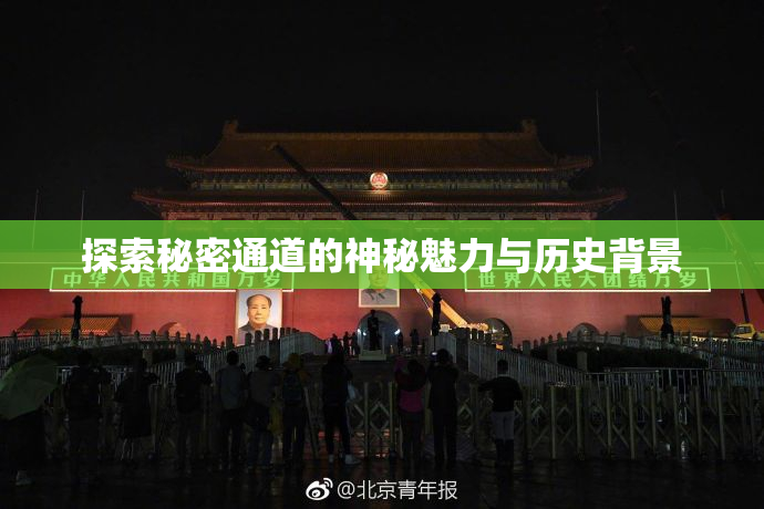 探索秘密通道的神秘魅力与历史背景