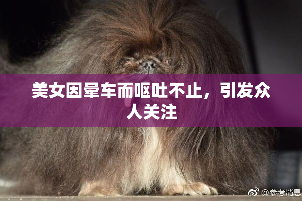 美女因晕车而呕吐不止，引发众人关注