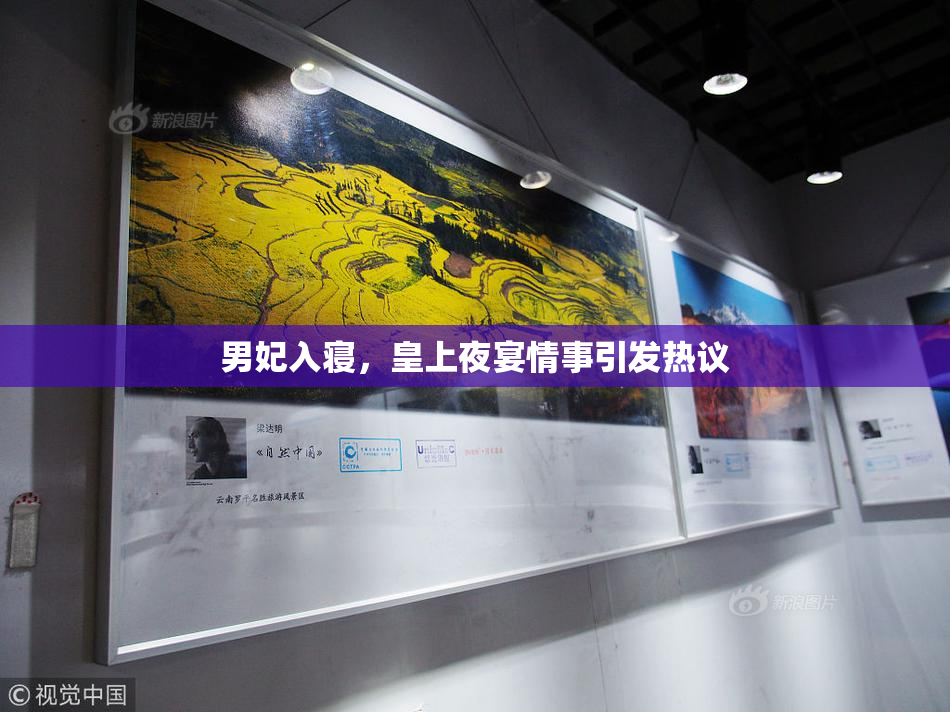 男妃入寝，皇上夜宴情事引发热议