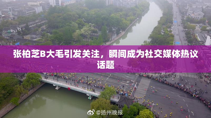 张柏芝B大毛引发关注，瞬间成为社交媒体热议话题