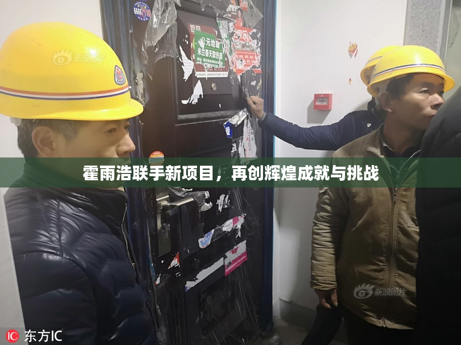 霍雨浩联手新项目，再创辉煌成就与挑战