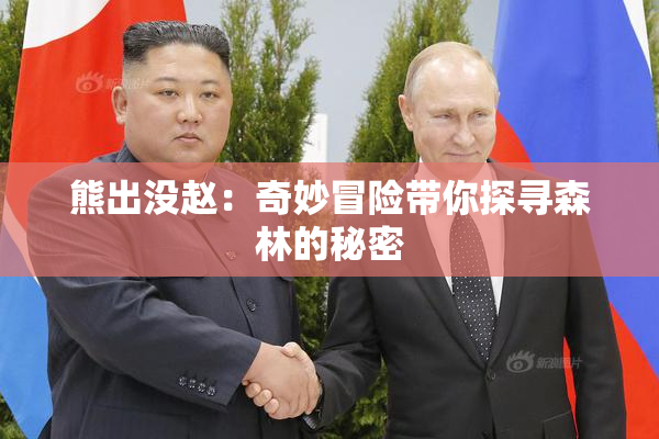 熊出没赵：奇妙冒险带你探寻森林的秘密