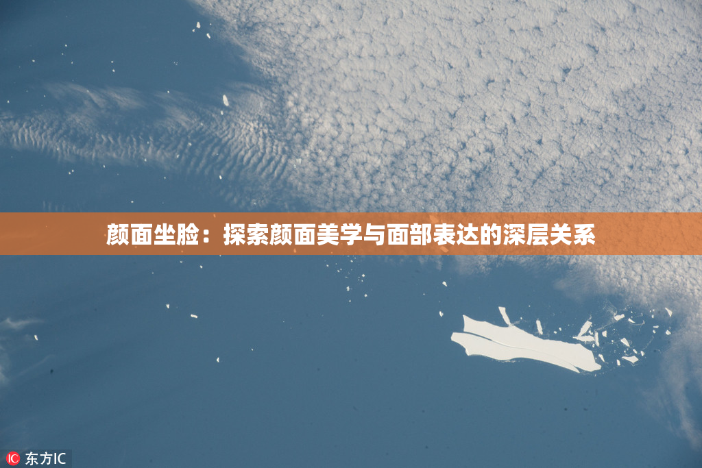 颜面坐脸：探索颜面美学与面部表达的深层关系