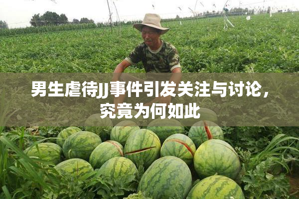 男生虐待JJ事件引发关注与讨论，究竟为何如此