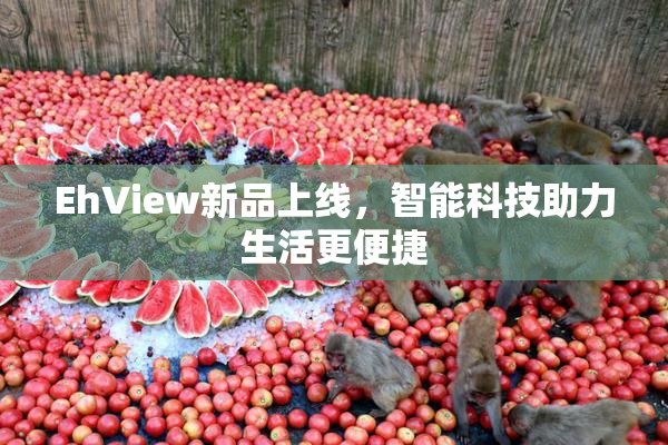 EhView新品上线，智能科技助力生活更便捷