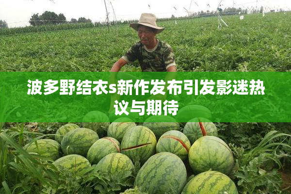 波多野结衣s新作发布引发影迷热议与期待