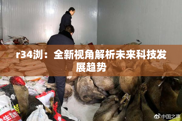 r34浏：全新视角解析未来科技发展趋势
