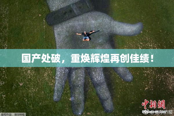 国产处破，重焕辉煌再创佳绩！