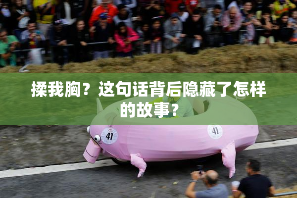 揉我胸？这句话背后隐藏了怎样的故事？