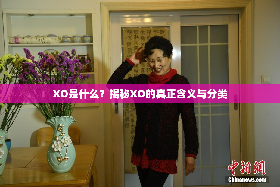 XO是什么？揭秘XO的真正含义与分类