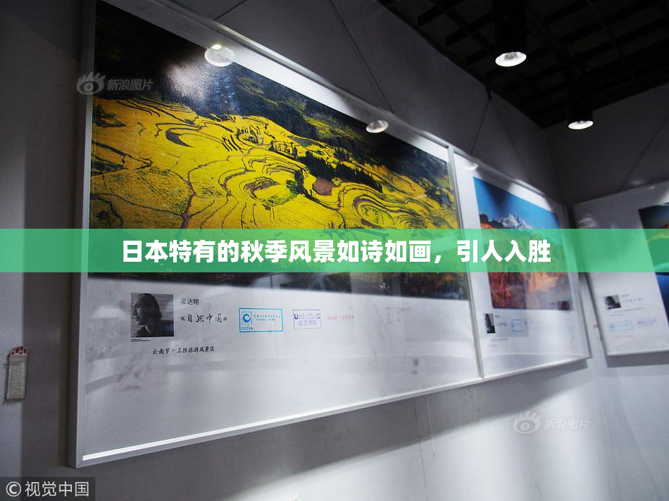 日本特有的秋季风景如诗如画，引人入胜