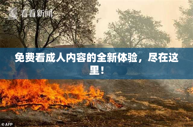 免费看成人内容的全新体验，尽在这里！