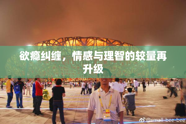 欲瘾纠缠，情感与理智的较量再升级
