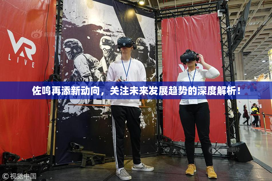 佐鸣再添新动向，关注未来发展趋势的深度解析！
