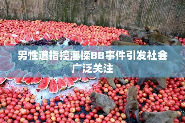 男性遭指控淫揉BB事件引发社会广泛关注