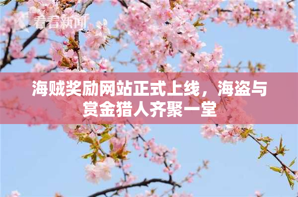 海贼奖励网站正式上线，海盗与赏金猎人齐聚一堂