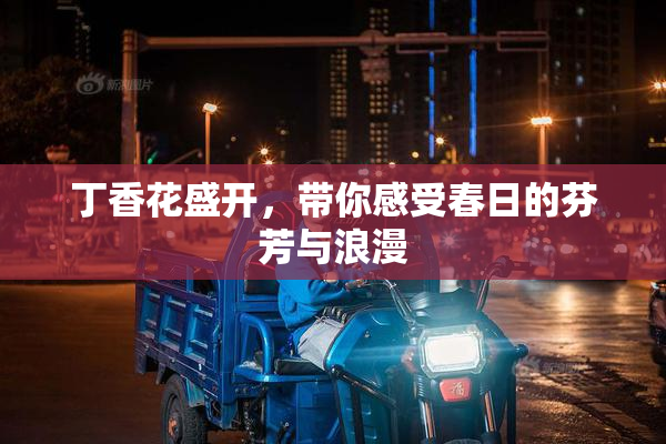 丁香花盛开，带你感受春日的芬芳与浪漫