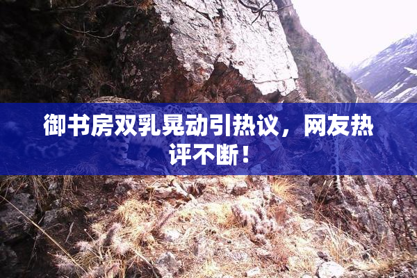 御书房双乳晃动引热议，网友热评不断！