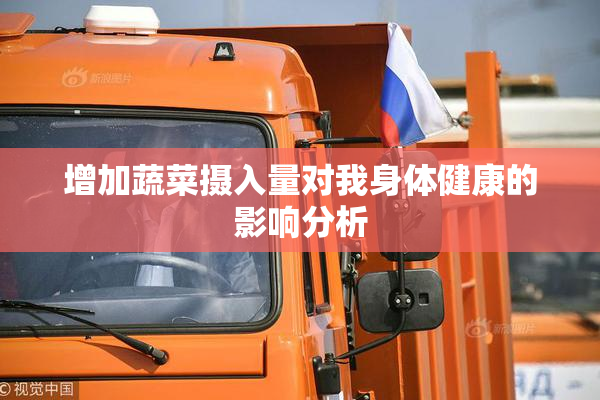 增加蔬菜摄入量对我身体健康的影响分析