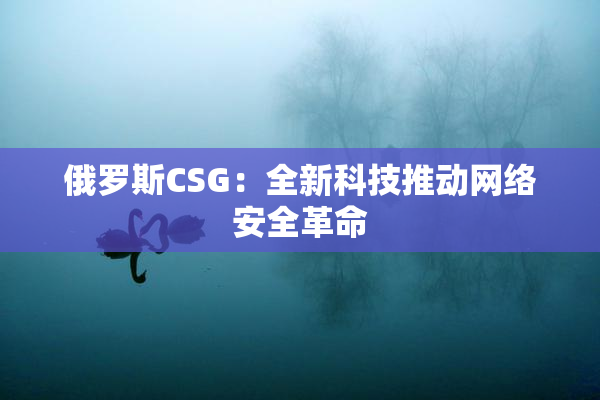 俄罗斯CSG：全新科技推动网络安全革命