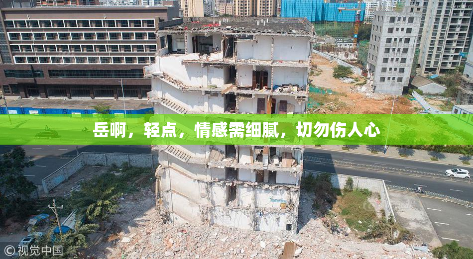 岳啊，轻点，情感需细腻，切勿伤人心