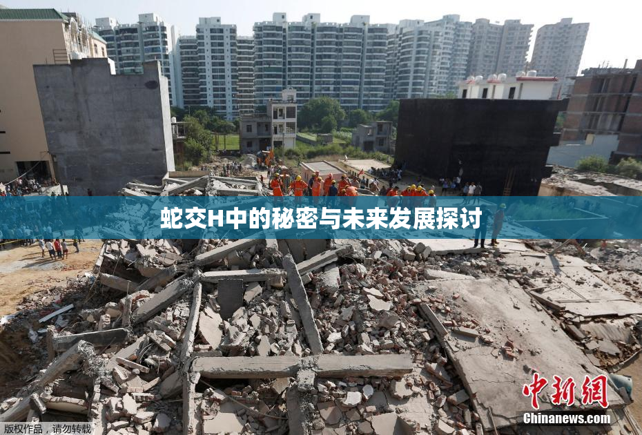 蛇交H中的秘密与未来发展探讨
