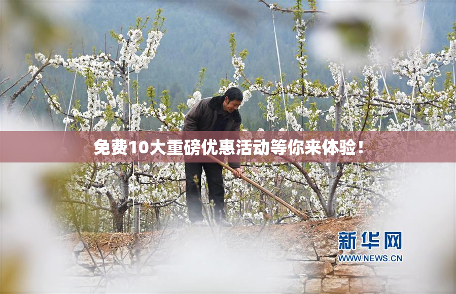 免费10大重磅优惠活动等你来体验！