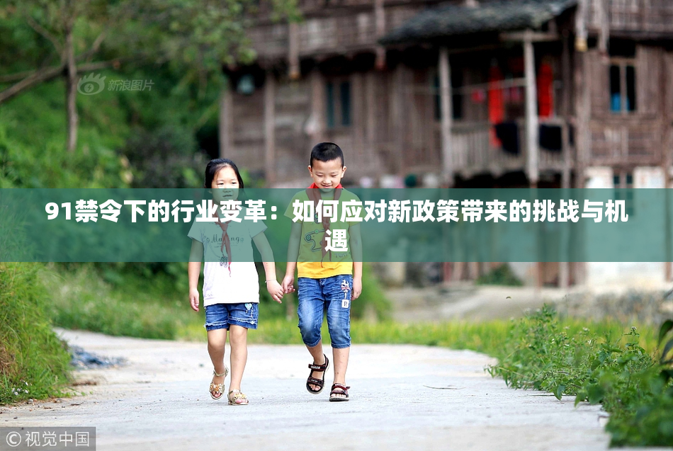 91禁令下的行业变革：如何应对新政策带来的挑战与机遇