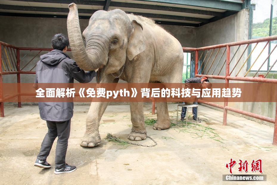 全面解析《免费pyth》背后的科技与应用趋势