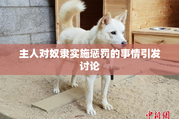 主人对奴隶实施惩罚的事情引发讨论