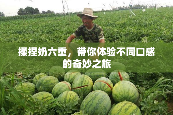 揉捏奶六重，带你体验不同口感的奇妙之旅
