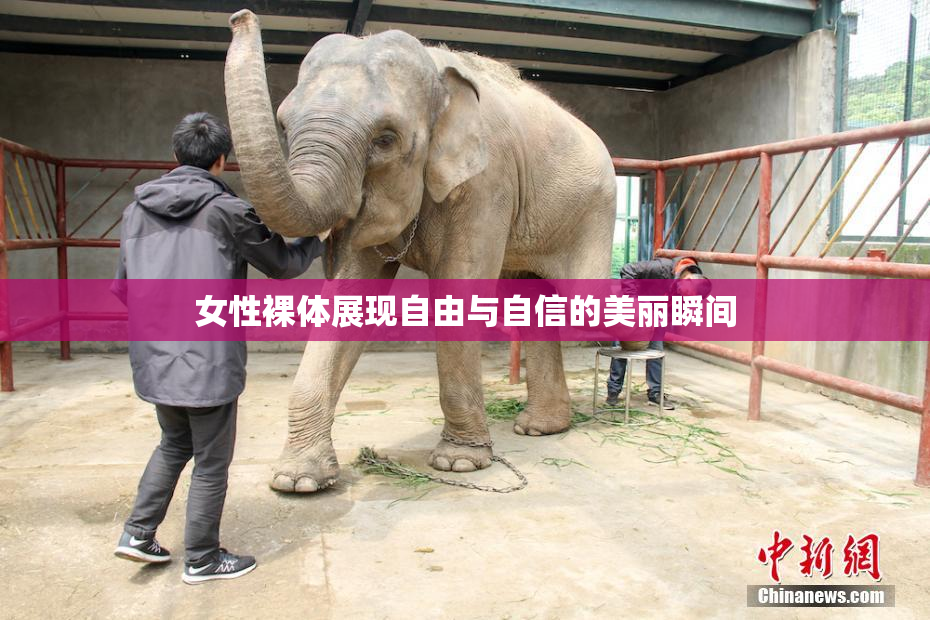 女性裸体展现自由与自信的美丽瞬间