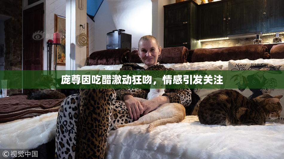 庞尊因吃醋激动狂吻，情感引发关注