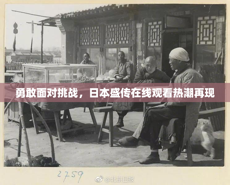 勇敢面对挑战，日本盛传在线观看热潮再现